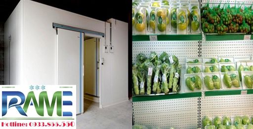 Lợi Ích Của Kho Lạnh Giúp Doanh Ngiệp Bảo Quản Hiệu Quả